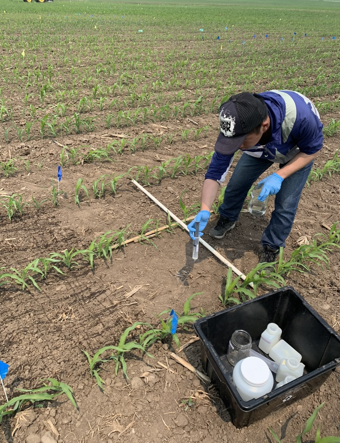 Research ZhuBarker Soil Biogeochemistry Lab UWMadison